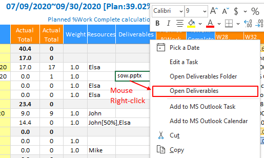 XLGantt(Excel Gantt) deliverables